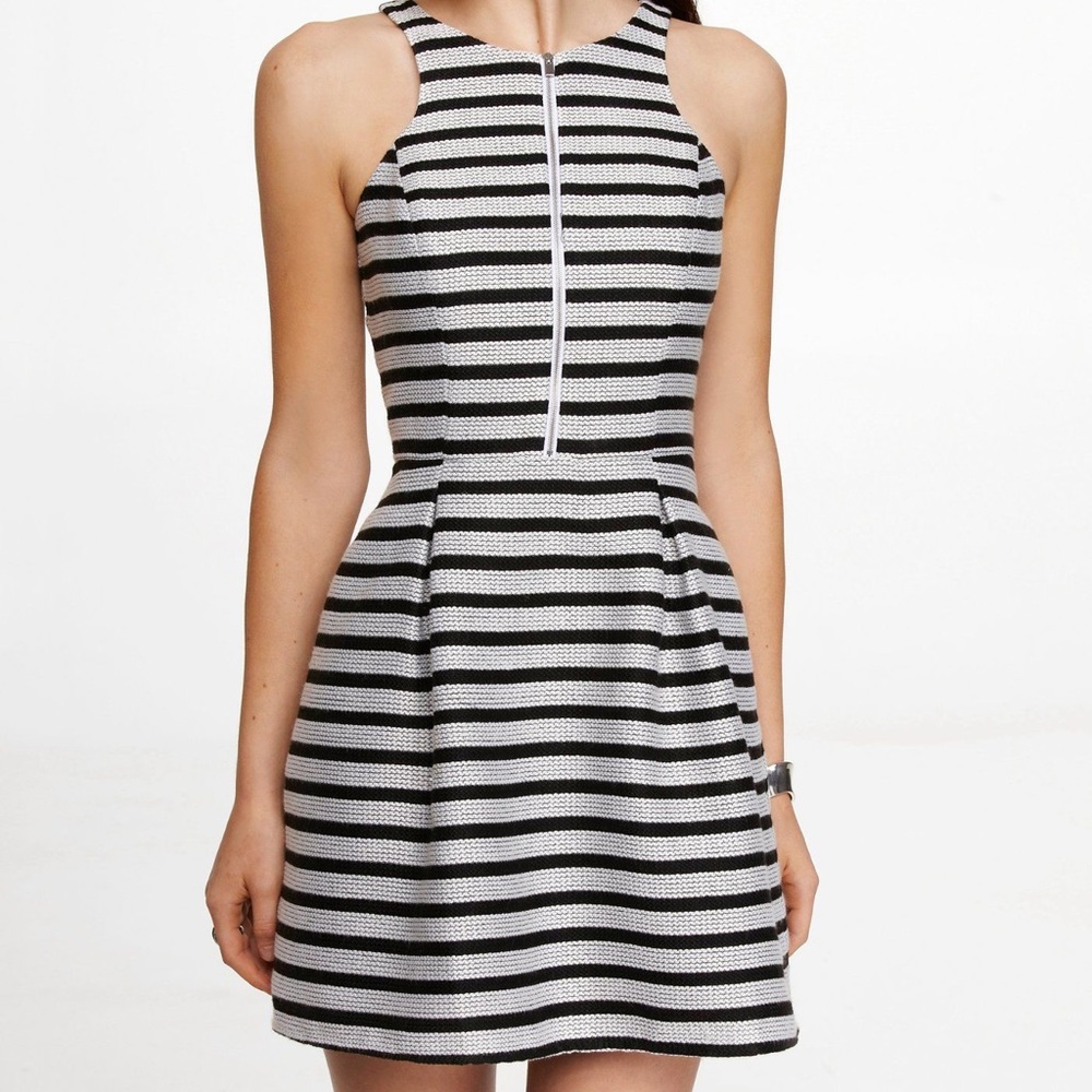 Striped Express Zipper Dress